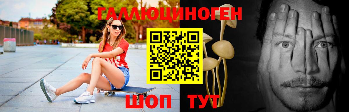 Псилоцибиновые грибы прущие грибы  Вход с VPN  Сибай 